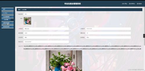 SpringBoot畢業(yè)生就業(yè)管理系統(tǒng) 研究背景、意義、目的、內容、方案與預期成果